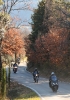 Greve in Chianti - Volpaia