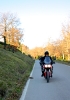 Greve in Chianti - Volpaia
