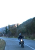 Greve in Chianti - Volpaia