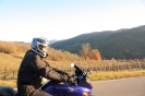 Greve in Chianti - Volpaia