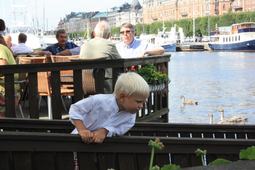 IMG_7843.jpg