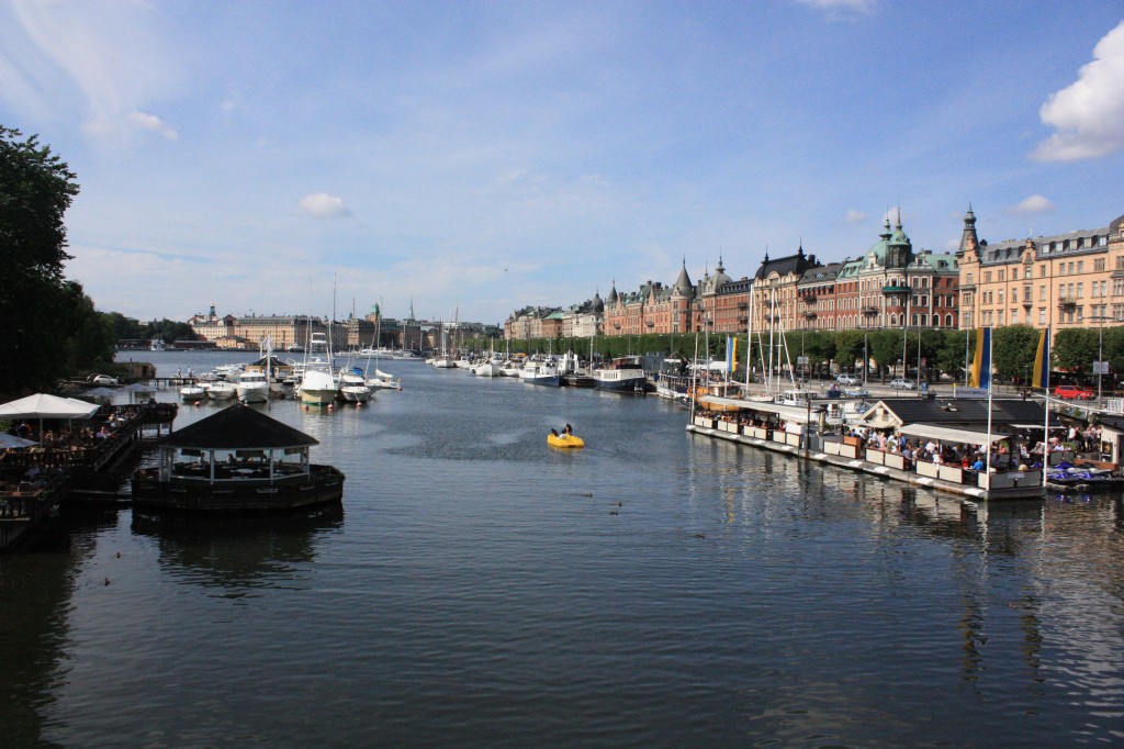 IMG_7861.jpg