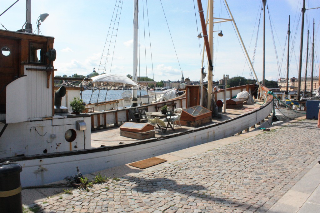 IMG_7882.jpg