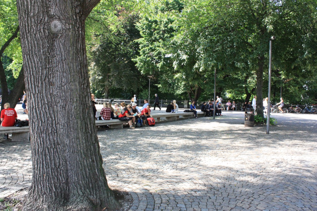 IMG_7905.jpg