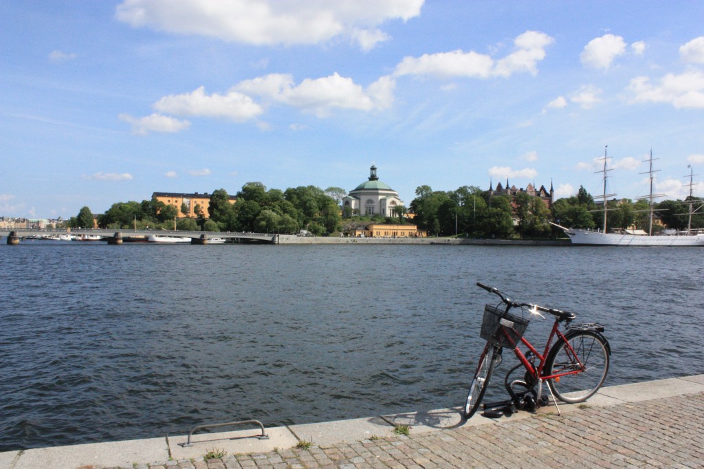 IMG_7921.jpg