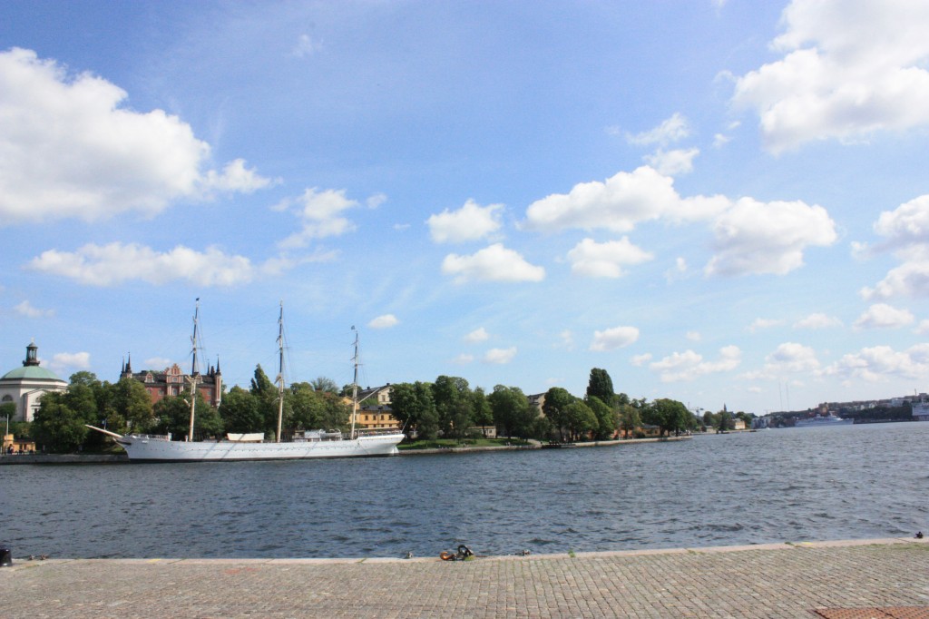 IMG_7929.jpg