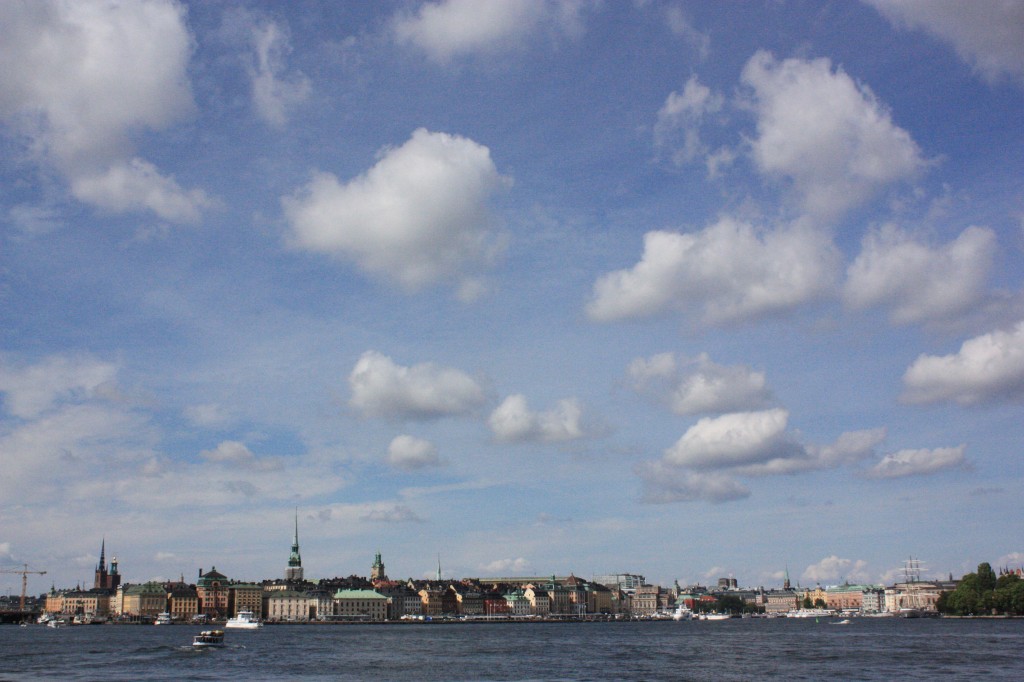 IMG_7960.jpg