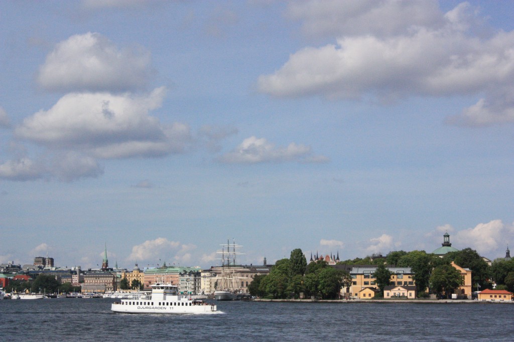 IMG_7968.jpg