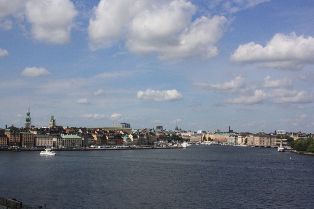 IMG_7996.jpg