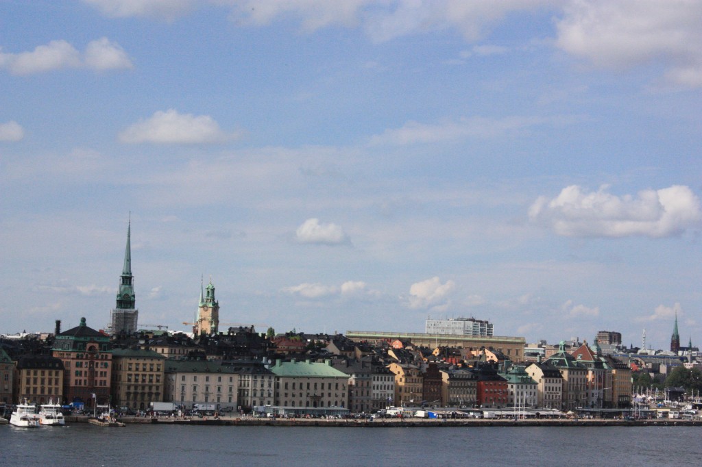 IMG_8001.jpg