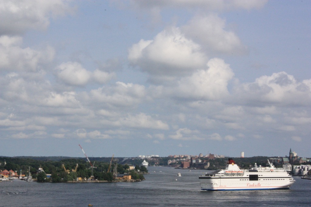IMG_8006.jpg