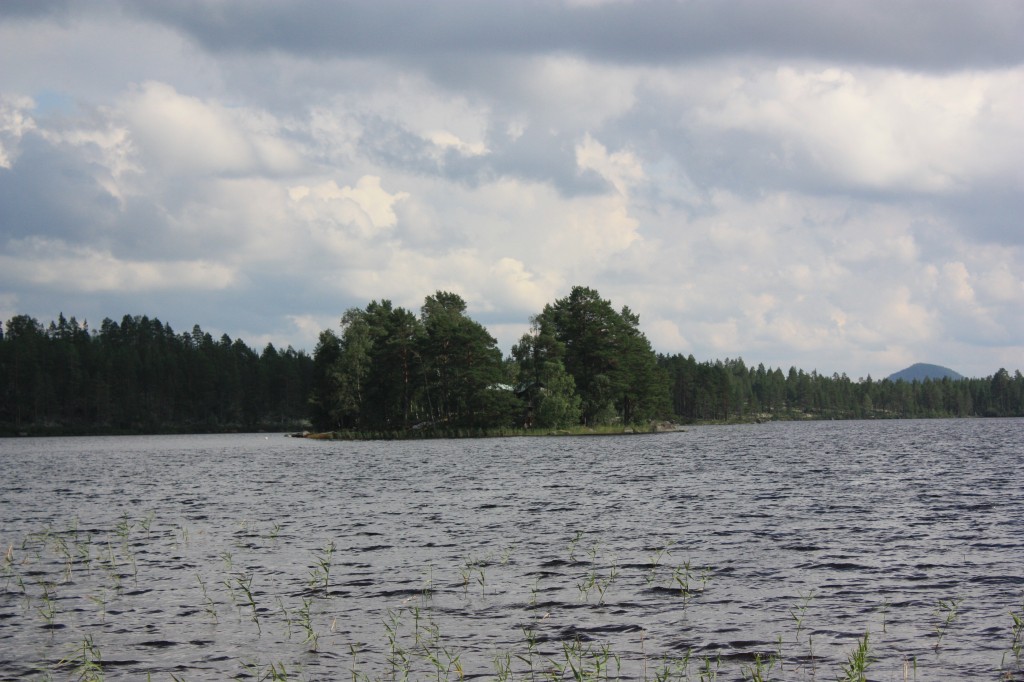 IMG_8097.jpg