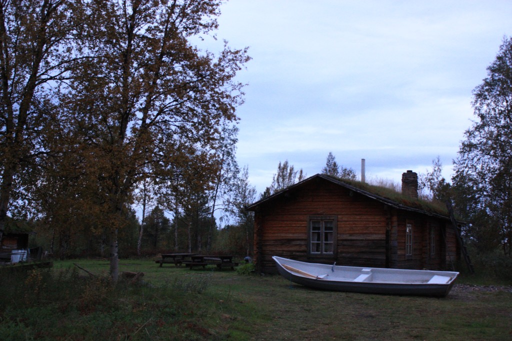 IMG_8230.jpg