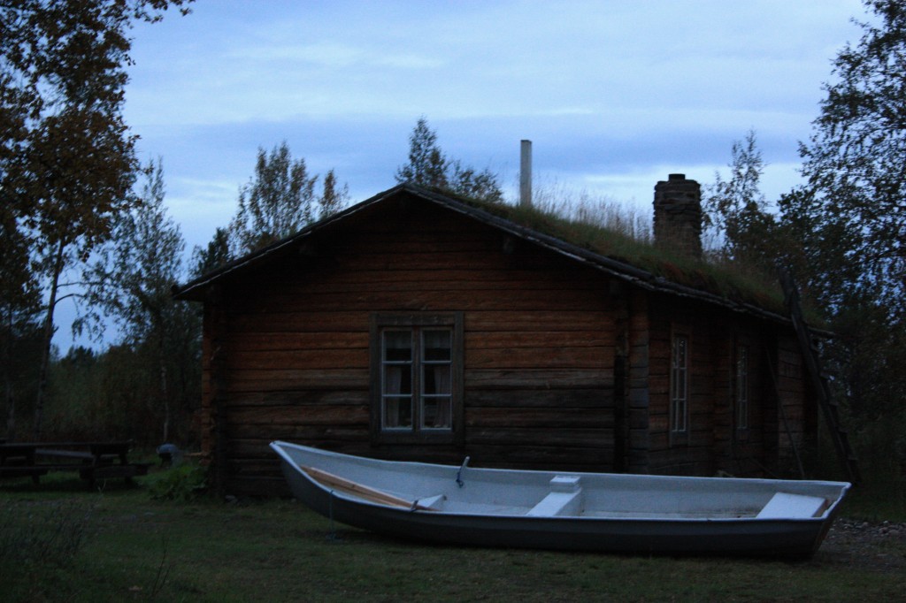 IMG_8231.jpg