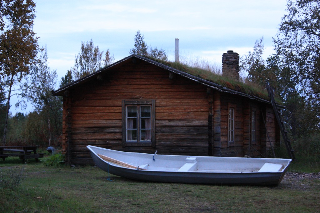 IMG_8232.jpg
