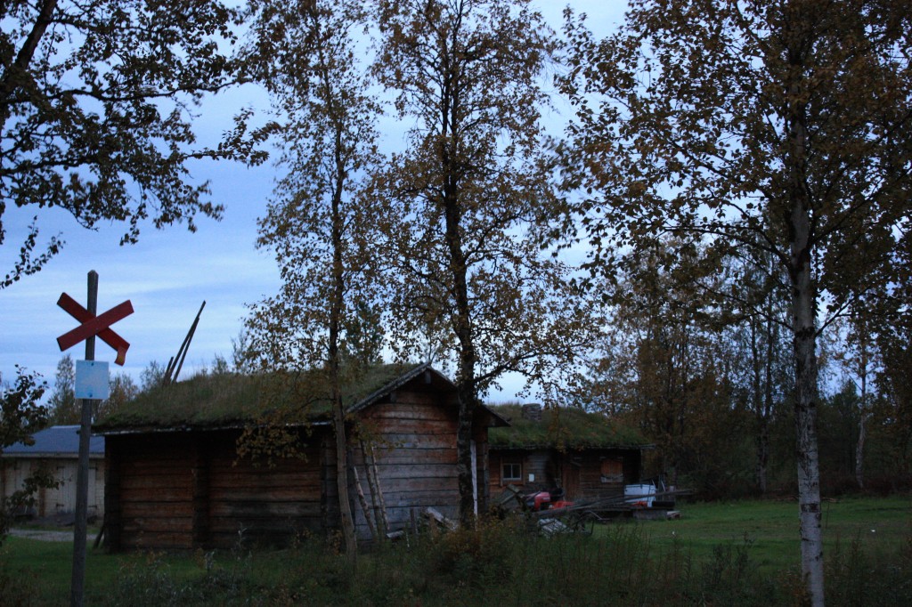 IMG_8234.jpg