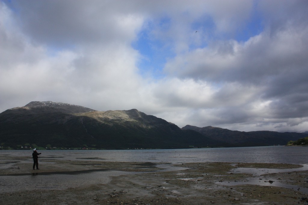 IMG_8325.jpg
