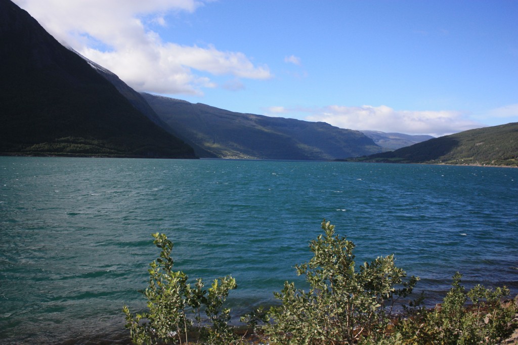 IMG_8412.jpg