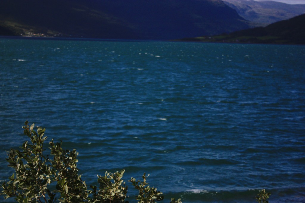 IMG_8417.jpg