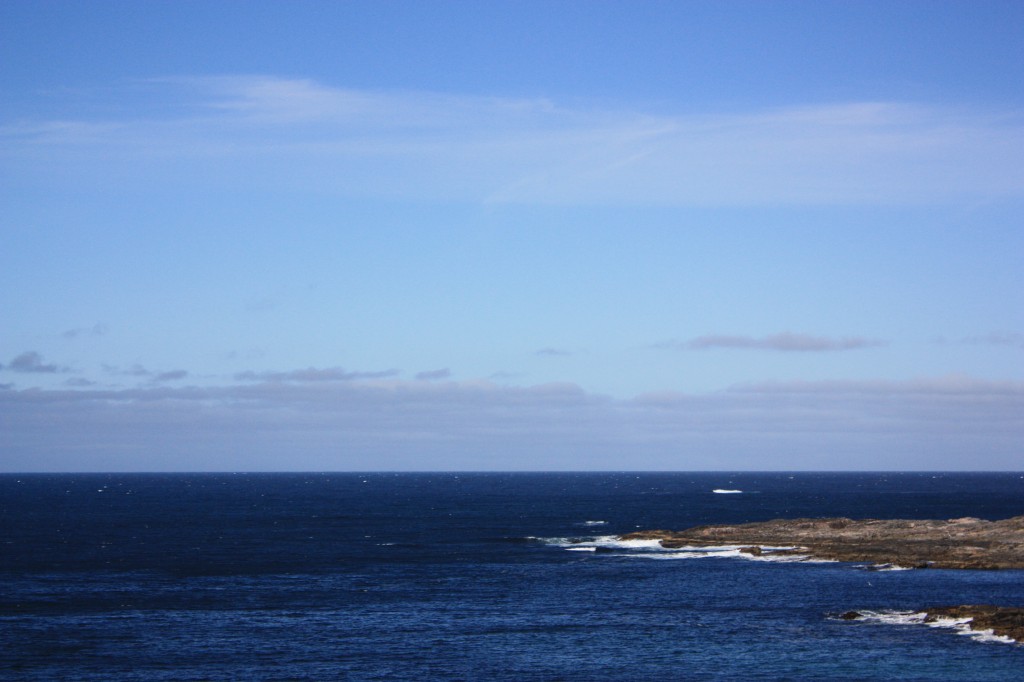 IMG_8602.jpg