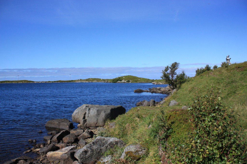 IMG_8615.jpg