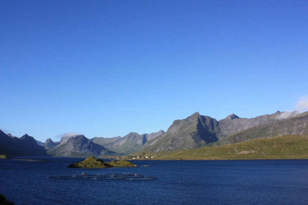 IMG_8847.jpg