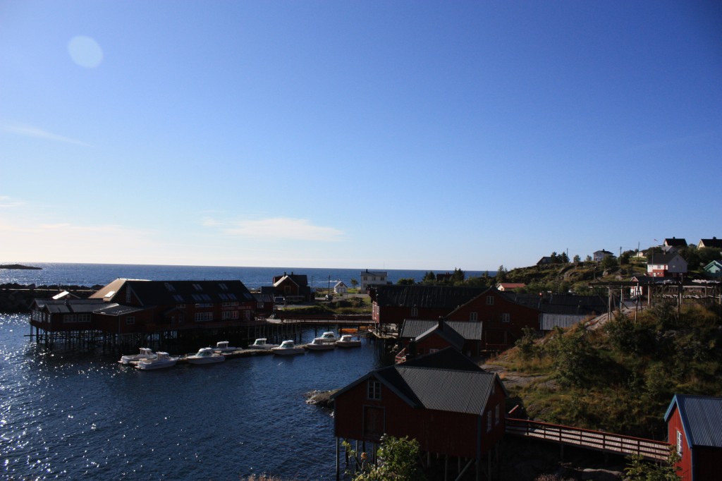 IMG_8878.jpg