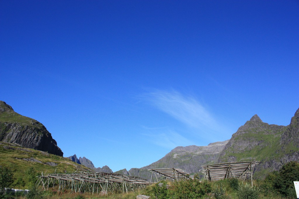 IMG_8900.jpg