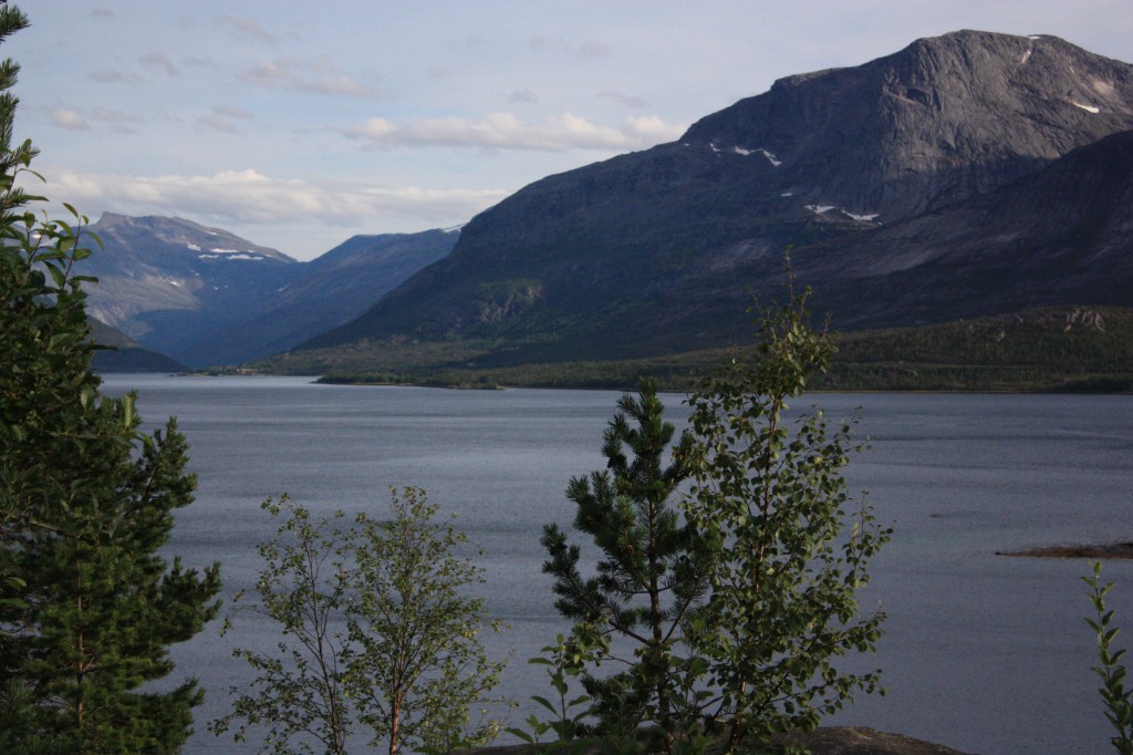 IMG_8971.jpg