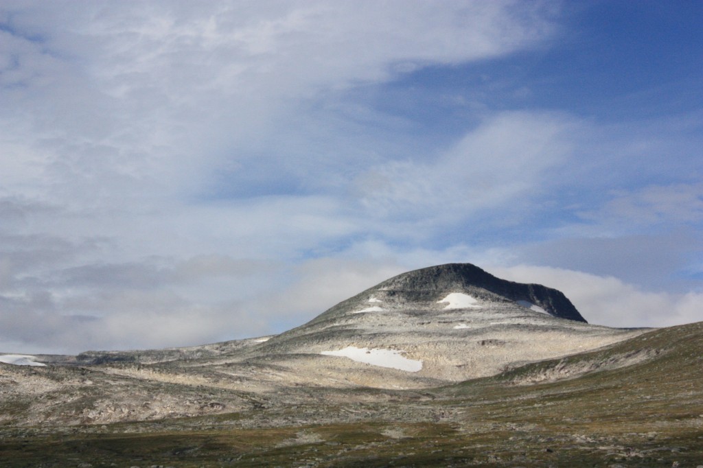 IMG_9023.jpg