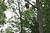 IMG_7596.jpg