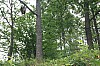 IMG_7599.jpg