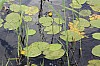 IMG_7666.jpg