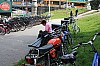 IMG_7800.jpg
