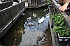 IMG_7805.jpg