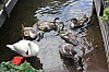 IMG_7810.jpg