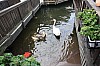 IMG_7812.jpg