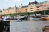 IMG_7833.jpg