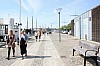 IMG_7873.jpg