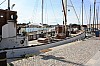IMG_7882.jpg