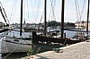 IMG_7884.jpg