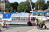 IMG_7903.jpg