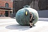 IMG_7950.jpg