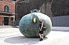 IMG_7951.jpg