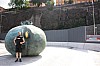 IMG_7953.jpg