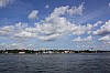 IMG_7954.jpg
