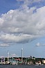 IMG_7965.jpg