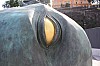 IMG_7982.jpg