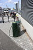 IMG_7983.jpg