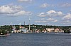 IMG_7998.jpg